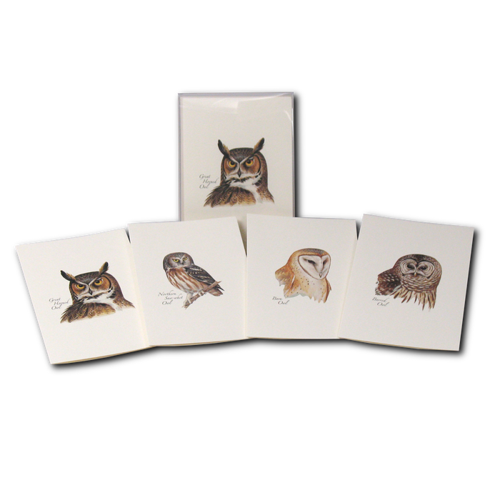 Peterson's Owl Assortment Boxed Notecards