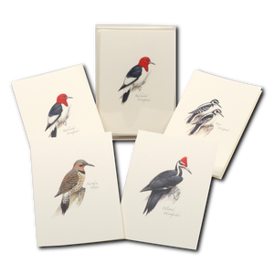 Peterson's Woodpecker Assortment Boxed Notecards