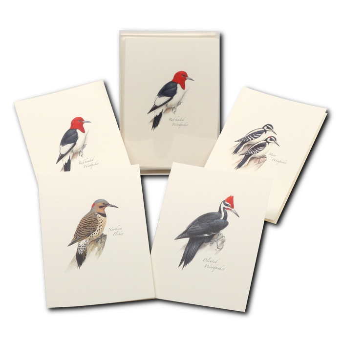 Peterson's Woodpecker Assortment Boxed Notecards