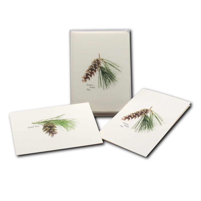 Pinecone Assortment Cards