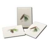 Pinecone Assortment Cards