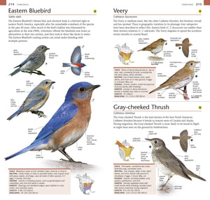 Pocket Birds of North America, Eastern Region