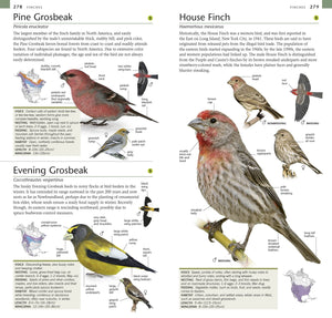 Pocket Birds of North America, Eastern Region