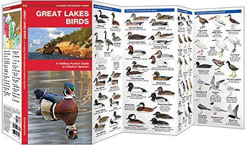 Pocket Naturalist: Great Lakes Birds
