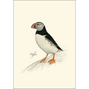 Puffin Boxed Notecards