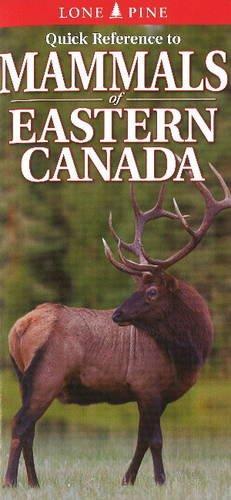 Quick Reference to Mammals of Eastern Canada