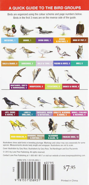 Quick Reference to Ontario Birds