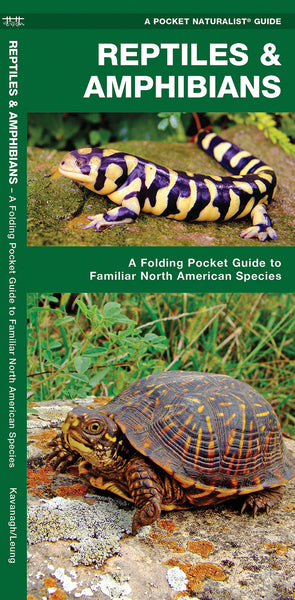 ReptilesandAmphibians_1_grande