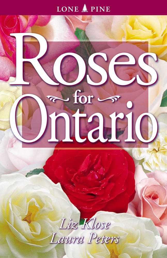 Roses for Ontario