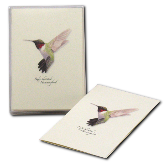 Ruby-throated Hummingbird Boxed Notecards