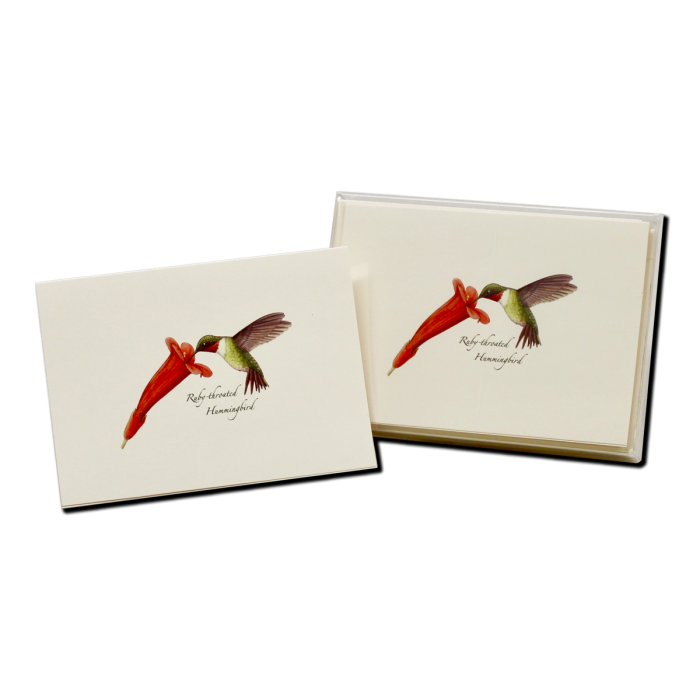 Ruby-throated Hummingbird & Flower Boxed Notes