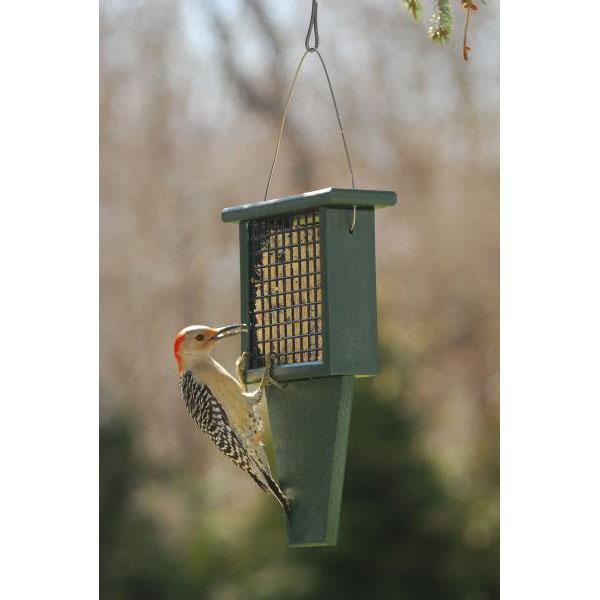 Recycled Composite Plastic Suet Feeder w/Tail Prop