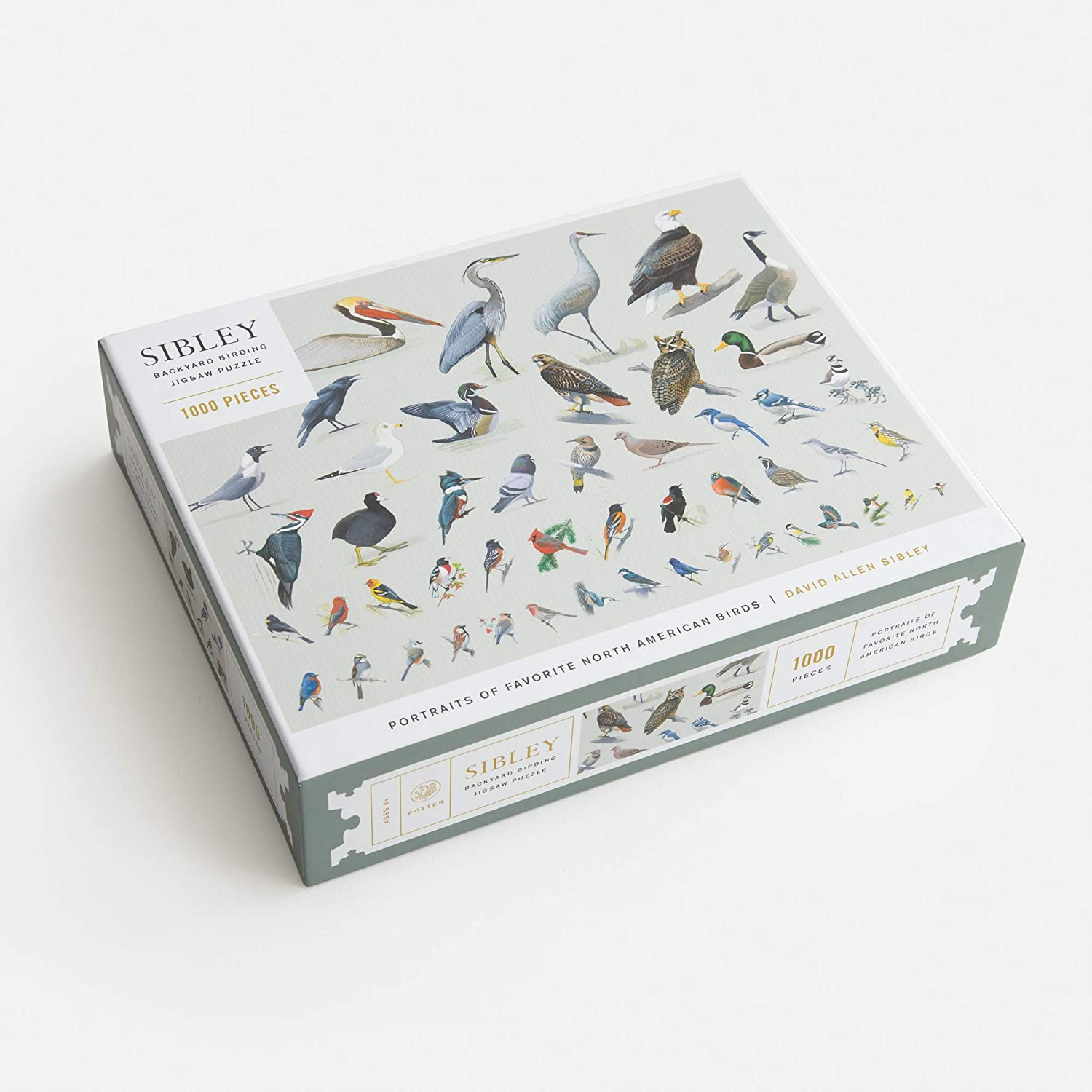BiRD : LIFE'S A JOURNEY n°1〜8　全8冊 We All Play by Julie Flett | A Different Booklist
