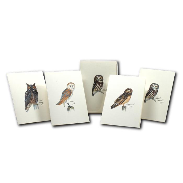 Sibley Owl Assortment Boxed Notecards