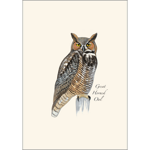 Sibley Owl Assortment Boxed Notecards