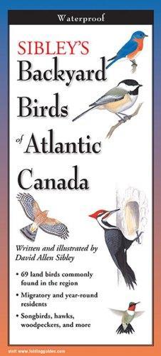 Sibley's Backyard Birds of Atlantic Canada