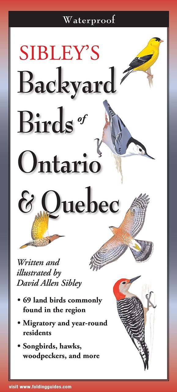 Buy Sibley's Backyard Birds of Ontario and Quebec Online With Canadian