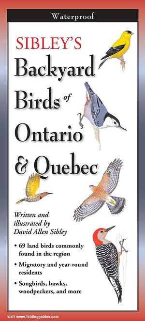 Sibley's Backyard Birds of Ontario and Quebec