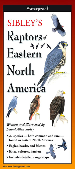 Sibley's Raptors of Eastern North America