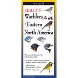 Sibley's Warblers of Eastern North America