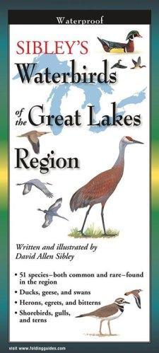 Sibley's Waterbirds of the Great Lakes Region