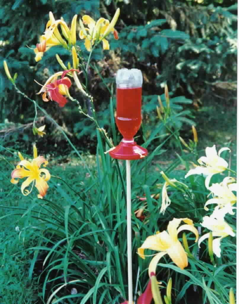 Buy Soda Bottle Hanging Hummingbird Feeder Kit Online With Canadian