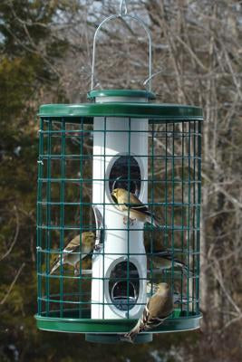Squirrel Resistant Mixed Seed Feeder
