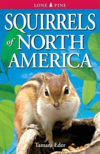 Squirrels of North America