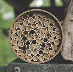 Standard Mason Bee Nest Kit (52 Tubes)