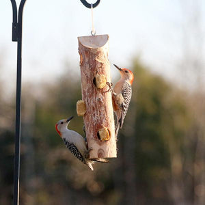 Suet Logs Without Perches