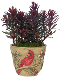 Summer Cardinal Hand Painted Planter, 8 Inch (Store Pickup Only)