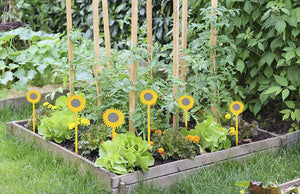 Sunflower ScareBird Garden Stakes