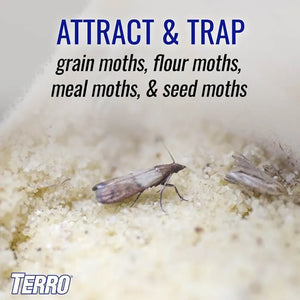 Terro Pantry Moth Trap