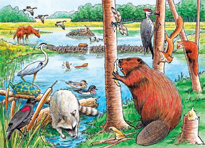 The Beaver Pond, 35pc
