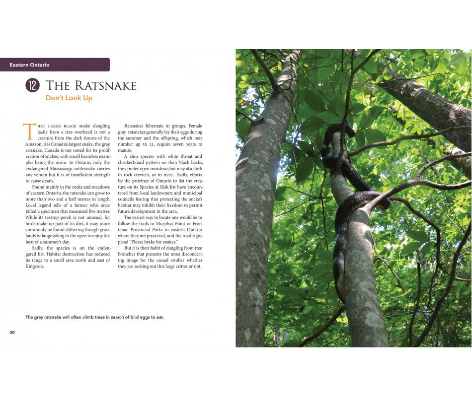 Buy Top 170 Unusual Things to See in Ontario Online With Canadian