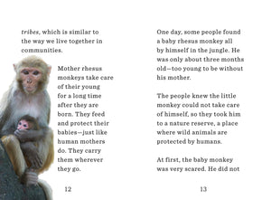 Unlikely Friendships for Kids, The Monkey & the Dove