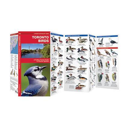 Buy Pocket Naturalist: Toronto Birds Online With Canadian Pricing
