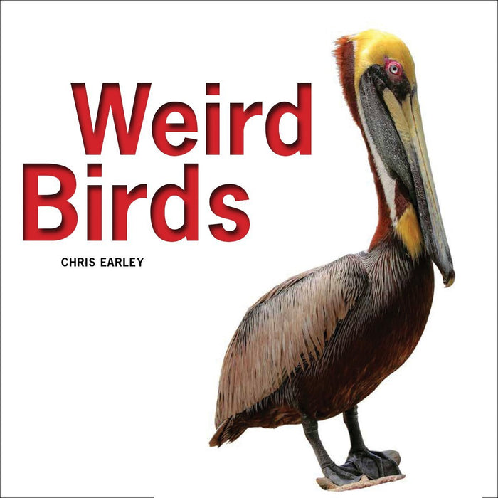 Weird Birds by Chris Early