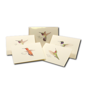 Western Hummingbird Boxed Notes Assortment
