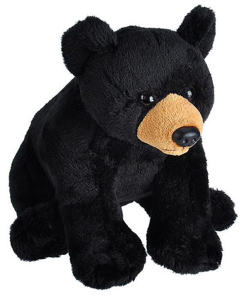Wild_Calls_Black_Bear__04936_f