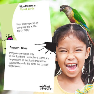 Word Teasers About Birds