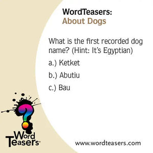 Word Teasers About Dogs