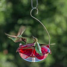 Ruby Sipper Hanging Hummingbird Feeder Clear