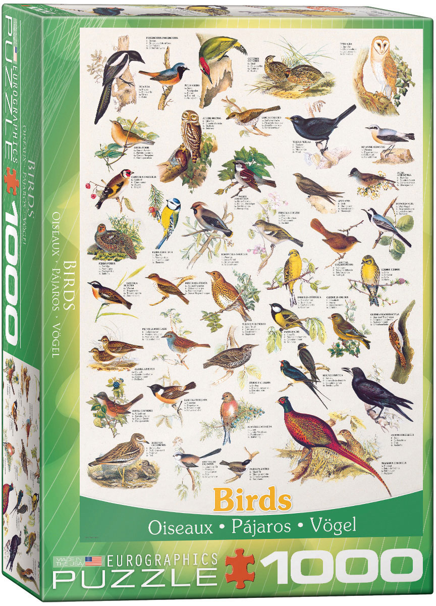 Buy Birds of Field and Garden, 1000pc. Online in Canada - Urban