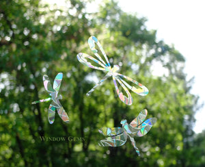 Dragonflies Window Gems