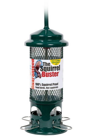 Brome Squirrel Buster Standard