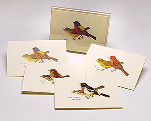 Peterson's Bird Assortment II Notecards
