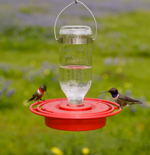 Best-1 Hummingbird Feeder, 8oz