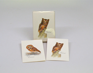 Owl Assortment Notecards