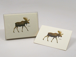 Moose Notecards